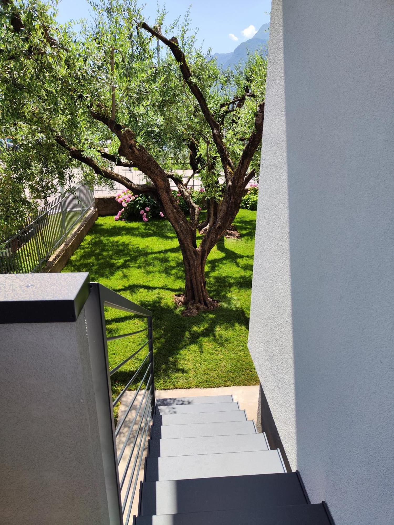 Apartament Oasi Degli Ulivi Riva Zewnętrze zdjęcie