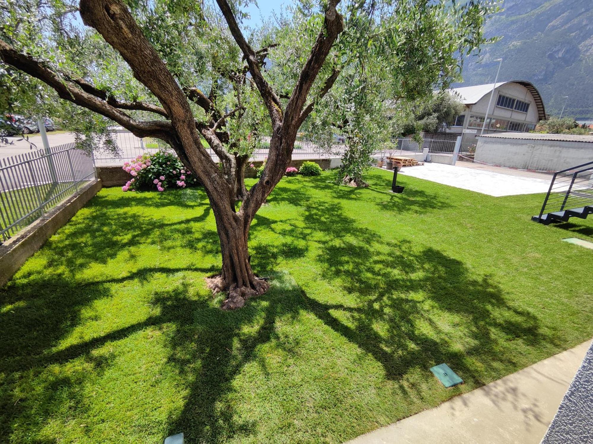 Apartament Oasi Degli Ulivi Riva Zewnętrze zdjęcie